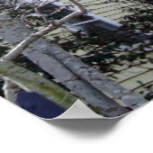 歴史的なチャールストン、サウスカロライナ州 ポスター (角)