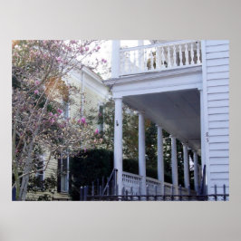 歴史的なチャールストン、サウスカロライナ州 ポスター