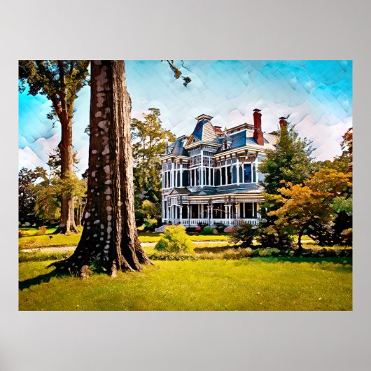 歴史的なニューナンのポスター ポスター (正面)