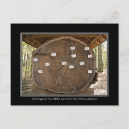 歴史的なランドマークパーク，ドタンアラバマポストカード ポストカード