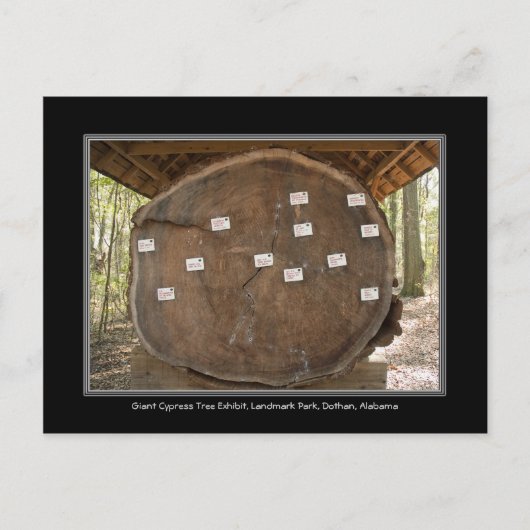 歴史的なランドマークパーク,ドタンアラバマポストカード ポストカード (正面)
