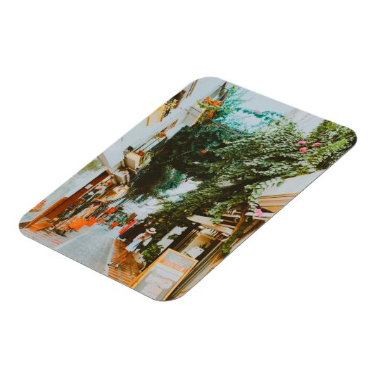 歴史的な旧市街マルベラ マグネット (左側)