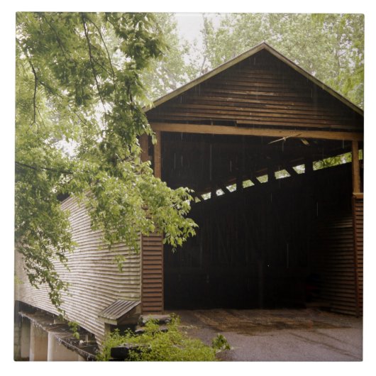 歴史的な橋 タイル (正面)