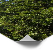 歴史的な聖アウグスティヌス、フロリダライトハウス ポスター (角)