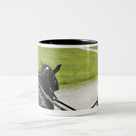 歴史的に対してカートを引っ張っているPerchonの馬 ツートーンマグカップ (中央)