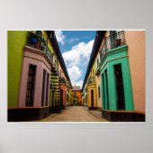 歴史的カラフル建物 ポスター (正面)