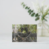 死ぬまで…ノングカイ,タイ 名刺 (スタンド正面)