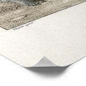 死のダンス – 騎士 ポスター (角)