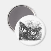 死のヤナガ マグネット (正面/裏面)