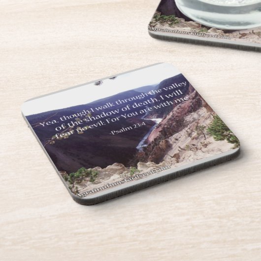 死の影の谷 コースター (左側)