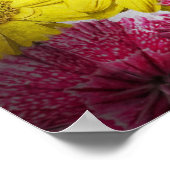 死の日 – デスマスク ポスター (角)