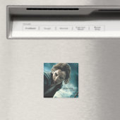 死の秘宝 – ハーマイオニー2 マグネット (インサイチュ (食洗機))