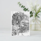 死の解剖学的ヴィンテージの木版 ポストカード (スタンド正面)