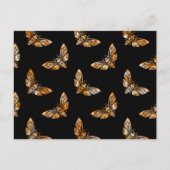 死の頭の蛾のパターン ポストカード (正面)