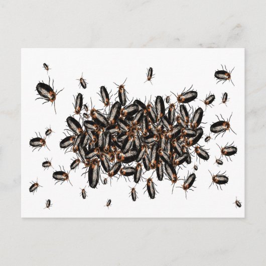 死の頭ゴキブリ葉書 ポストカード (正面)