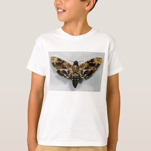 死の頭部のHawkmothのAcherontiaのLachesis Tシャツ (正面)