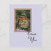 死または悔やみや弔慰感謝ポストカード – 蝶 ポストカード (正面)