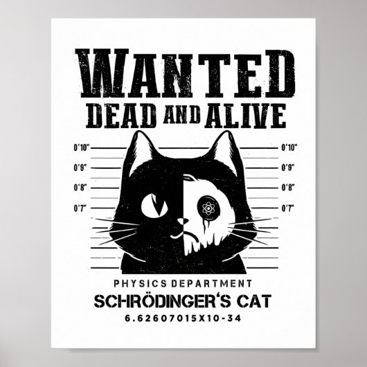 死んだも活きたも要らぬ猫 クラシックポスター ポスター (正面)
