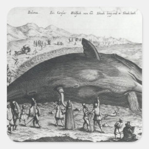 死んだクジラ スクエアシール
