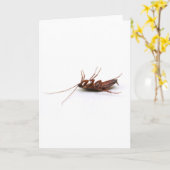 死んだゴキブリ カード (黄色い花)
