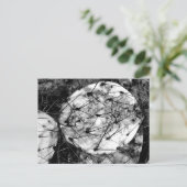 死んだサボテン ポストカード (スタンド正面)