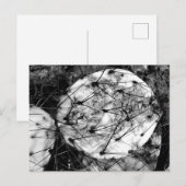 死んだサボテン ポストカード (正面/裏面)