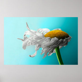 死んだデイジーはめったに嘘をつかない ポスター