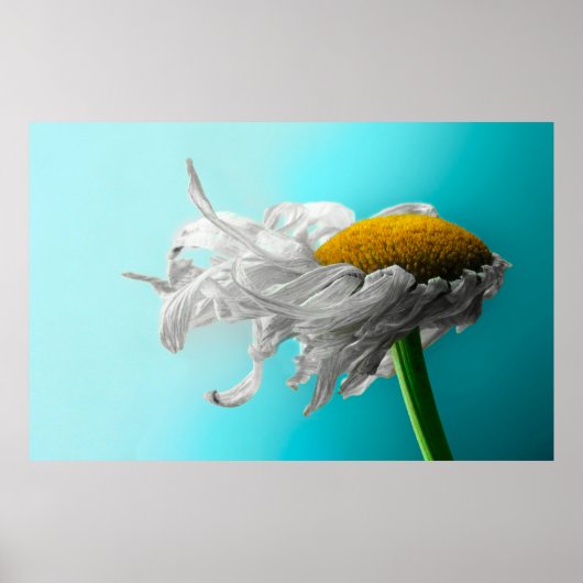 死んだデイジーはめったに嘘をつかない ポスター (正面)