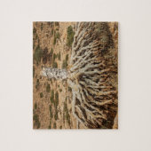 死んだドラゴン血の木、ソコトラ島、イエメン ジグソーパズル (縦)