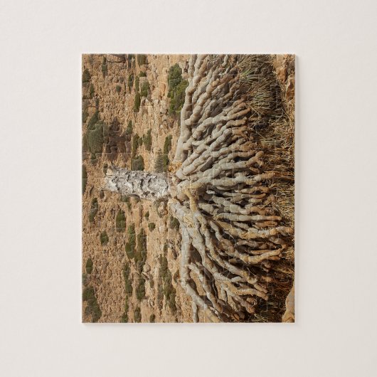 死んだドラゴン血の木、ソコトラ島、イエメン ジグソーパズル (縦)