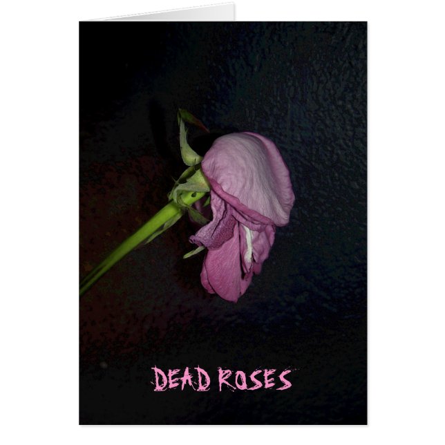 死んだバラ: 開花は花、赤ん坊から離れています (正面)