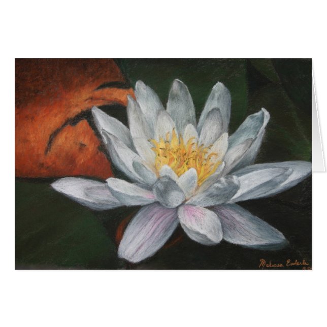 死んだパッドとのWaterlilly (正面横)