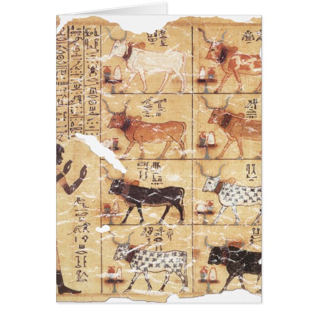 死んだマイエルペリの本–1479bc (正面)