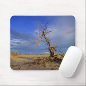 死んだラクダのとげ(アカシア·エリオロバ)の木 マウスパッド (マウス)