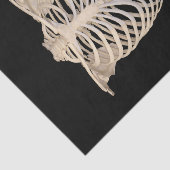 死んだリブケージスケルトンハローウィンパーティ 薄葉紙 (詳細)