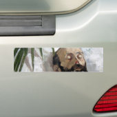 死んだ人のポートレート(死と死)(芸術) バンパーステッカー (車上)