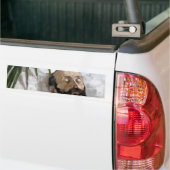 死んだ人のポートレート(死と死)(芸術) バンパーステッカー (トラック上)