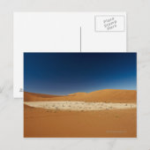 死んだ木との有名なDeadvlei、砂漠 ポストカード (正面/裏面)