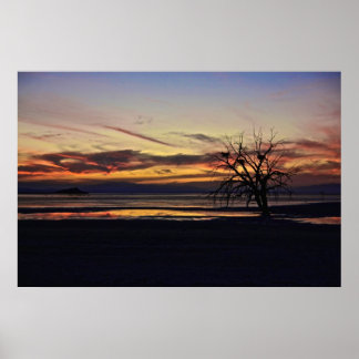 死んだ木に巣を空にする ポスター