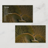 死んだ木のきのこの集り 名刺 (正面/裏面)