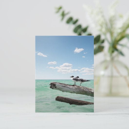 死んだ木の上に座っている二匹のカモメが突き出ていた ポストカード (スタンド正面)