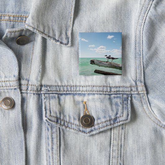 死んだ木の上に座っている二匹のカモメが突き出ていた 缶バッジ (インサイチュ)