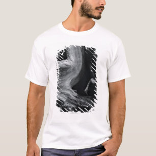 死んだ木の幹 Tシャツ