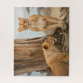 死んだ木をスカウトする雌ライオン ジグソーパズル (縦)