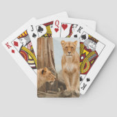 死んだ木をスカウトする雌ライオン トランプ (裏面)