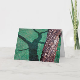 死んだ木 カード