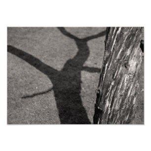 死んだ木 フォトプリント
