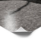 死んだ木 フォトプリント            (角)