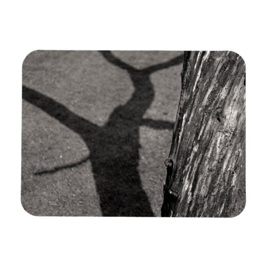 死んだ木 マグネット (横)