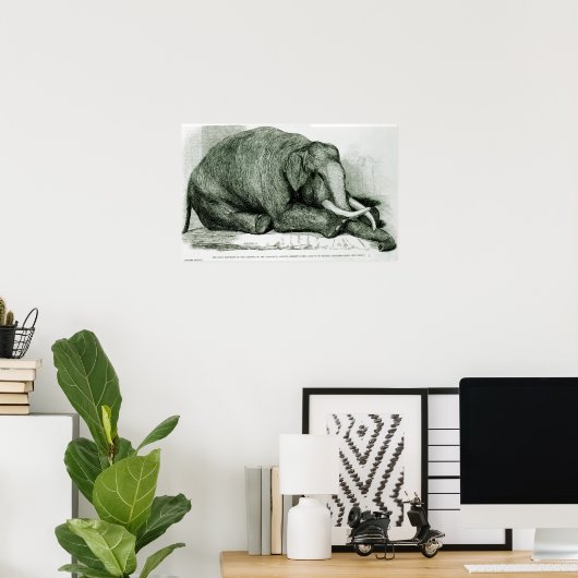 死んだ象 ポスター (ホームオフィス)